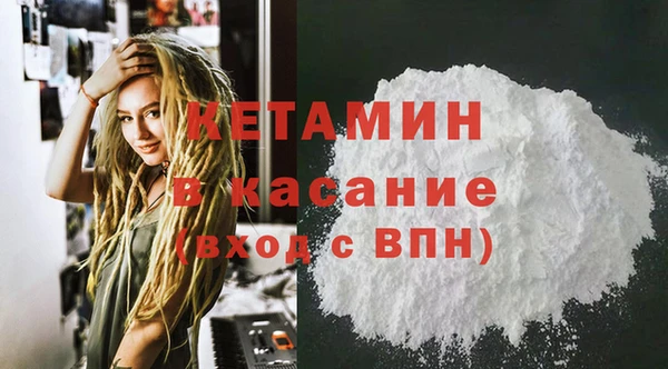 прущие грибы Пересвет