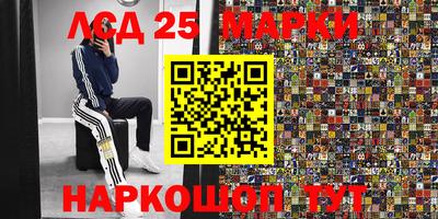 амф Новодвинск