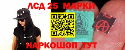 амф Новодвинск