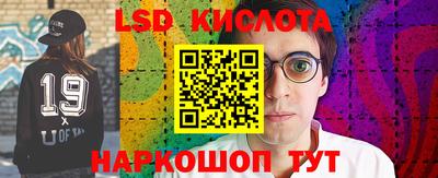 гашик Новокубанск
