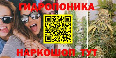 гашик Новокубанск