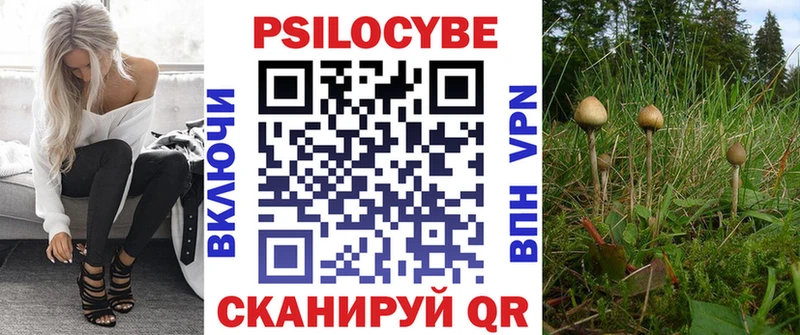 где найти Благовещенск Галлюциногенные грибы мицелий